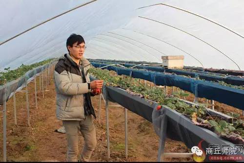 高校评分商丘师范学院,高校商丘工学院