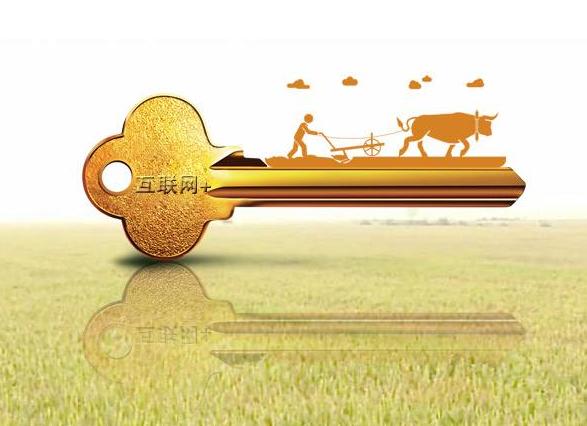 甘肃农民的创业经历,甘肃致富经养鸡