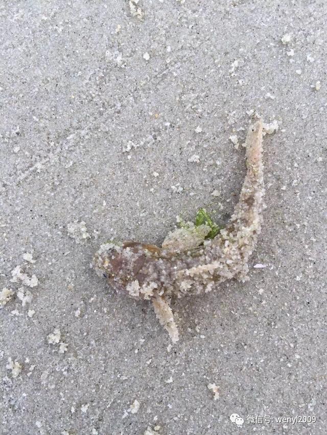 花自己的钱凭什么要感恩,花自己的钱才是硬道理