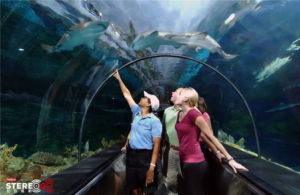 南加州周末好去处,美丽的加州圣地亚哥夜晚