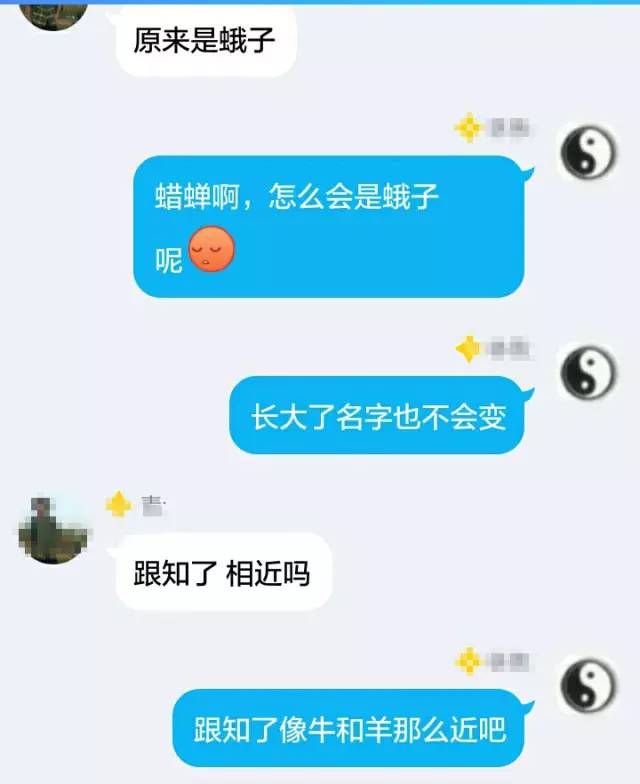 小跳虫长什么样,小跳虫是什么虫子