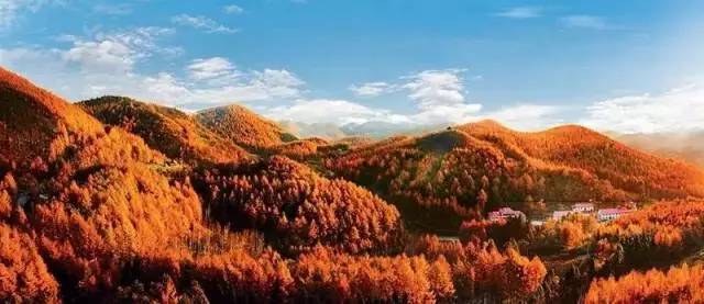 滨江今年还有几个新楼盘,滨江最近新开楼盘