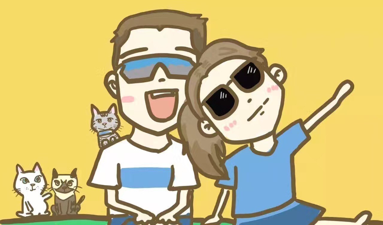 一只猫的生活意见读后感,一只猫的生命