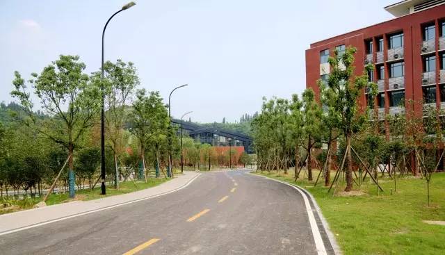 宜昌一中实景,航拍宜昌一中新校区