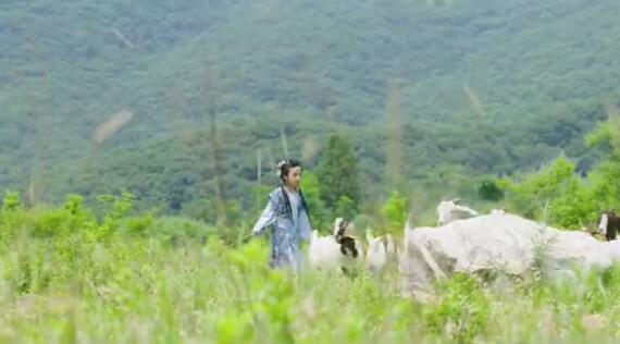 小戏骨少林寺主题曲,河南少林寺主题曲女生版