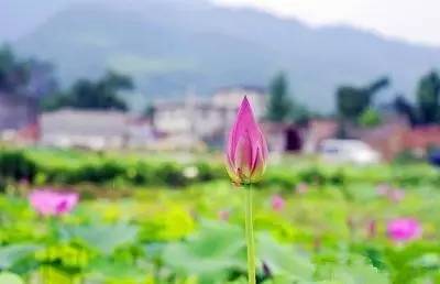 西安最有名旅游景点排名,西安十大值得去的景点排名