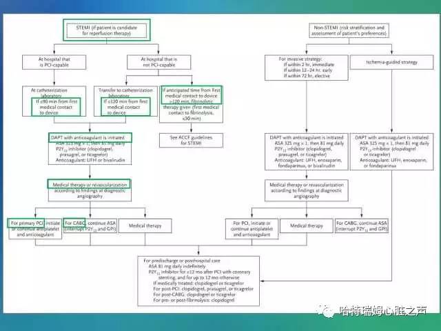 关于“急性心肌梗死”的科普,心肌梗死临床指南最新