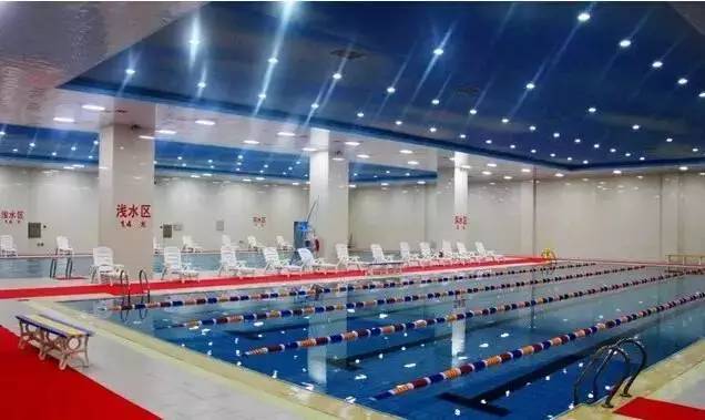 收藏｜34℃请来水中避暑！哈尔滨游泳馆最全攻略