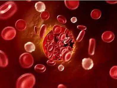 肾病患者怎样预防肾性贫血,肾病贫血吃什么补得快