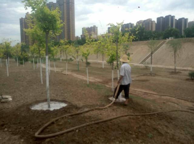 宝鸡新建公园最新规划,宝鸡市人民公园最新建设