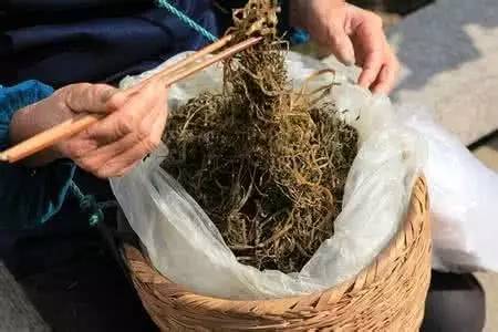 把所有美食都吃完,把所有的美食吃完