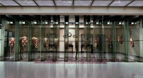 这是我看过最美的R级片