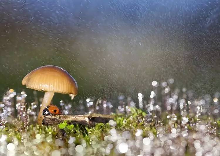 有多少人在看天气预报,哪些人需要关注天气预报