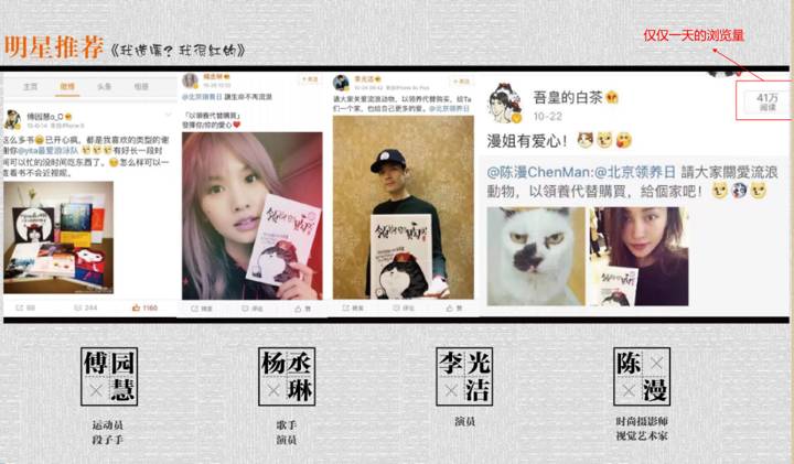 盘点十大网红萌宠,盘点全网6只网红萌宠