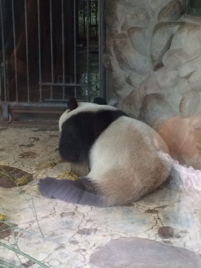 我们的故事缘定这里-四川