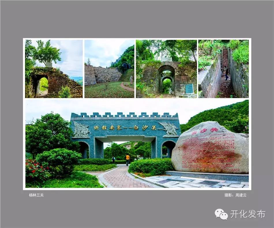 杨林的近况,杨林现在怎么样