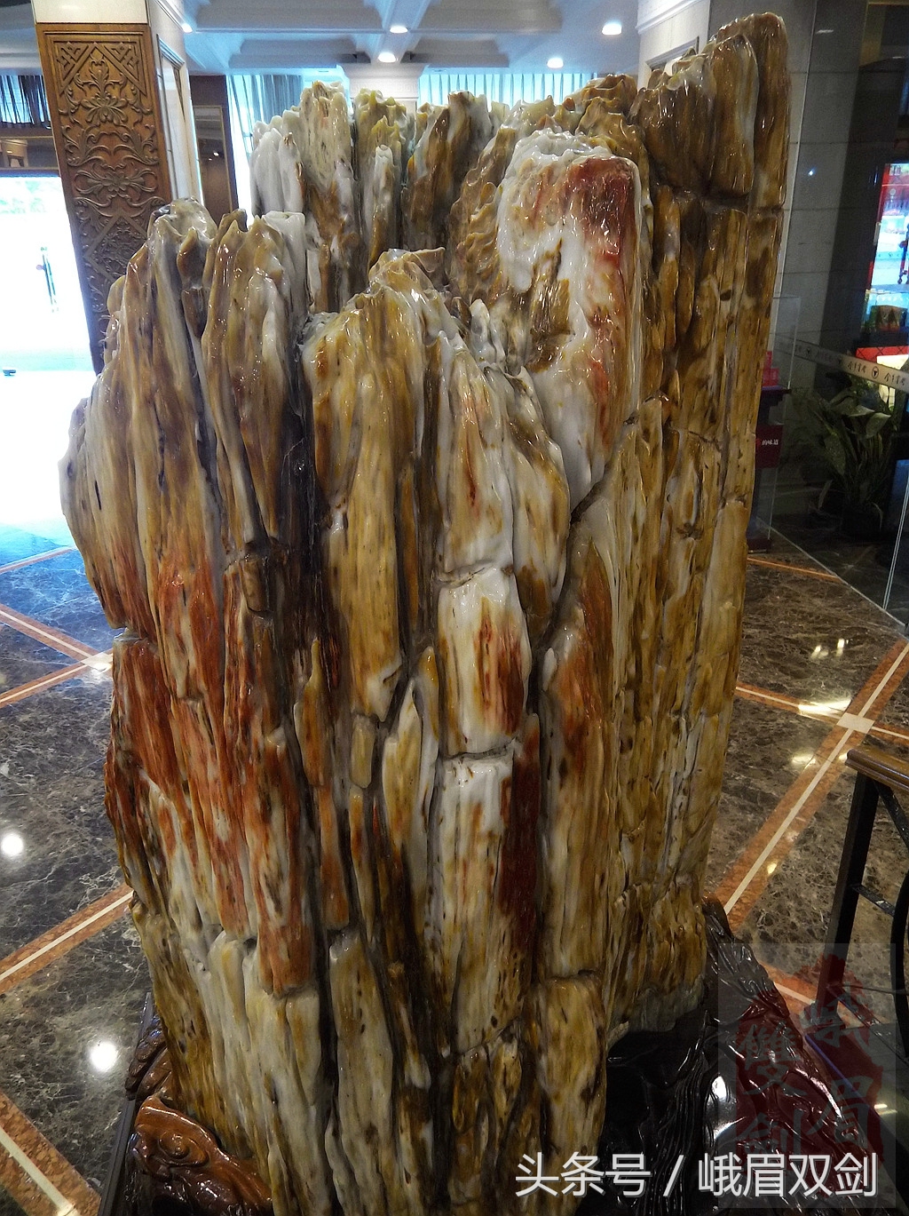 树化石收藏价值高吗,玉化树化石