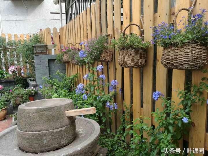 锦园，心得自在呼吸