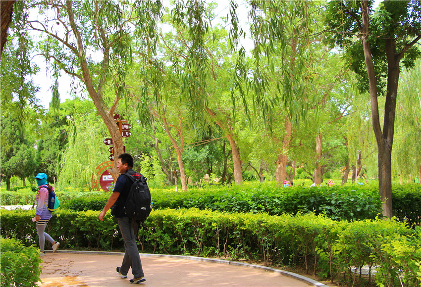 宁夏沙坡头旅游景区,关于宁夏沙坡头景点介绍