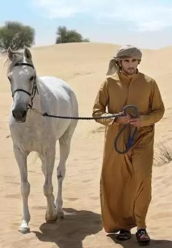 最帅迪拜王子哈曼丹,哈曼丹和威廉王子