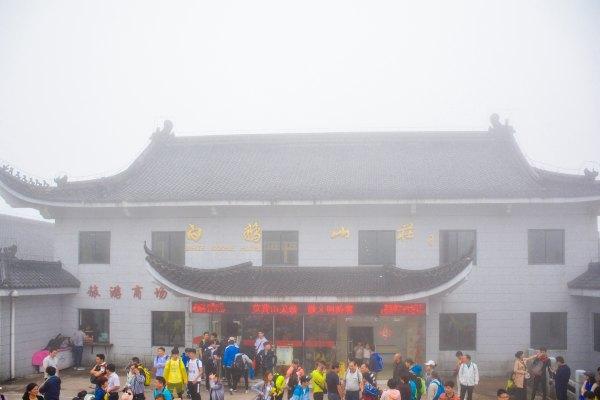 黄山四绝之一奇松介绍,黄山的四绝分别是奇松怪石