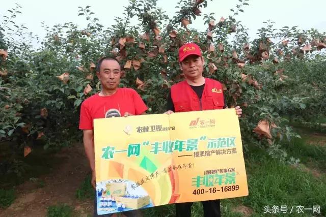 2019年农资生意还好做吗,你的农资生意可不可以做得更大