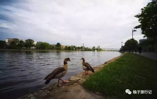 精品游记：有惊无险德意志，肉身滚雷法兰西（上篇）
