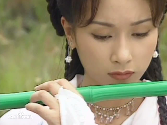 冥岳聂小凤座下三弟子，神医罗玄唯一传人，卧龙生笔下的九天仙子