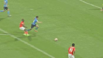 保定容大董事长痛哭,保定容大董事长哭的视频