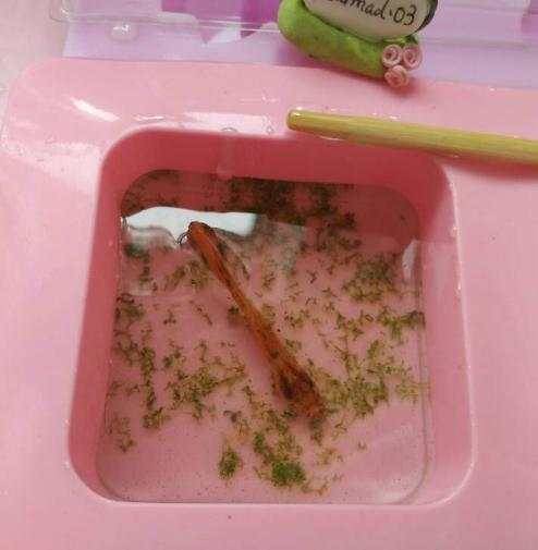 小小的金鱼死了怎么才能救活,彩色的金鱼死了还可以救活吗