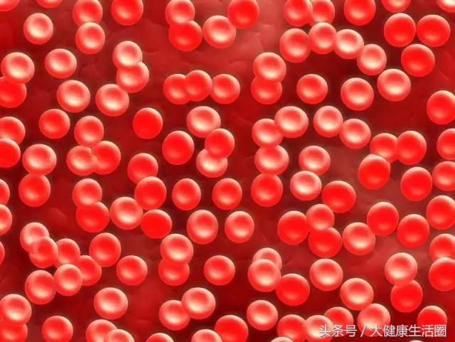 蚊子会把艾滋传染给婴儿吗,蚊子会不会传播hiv