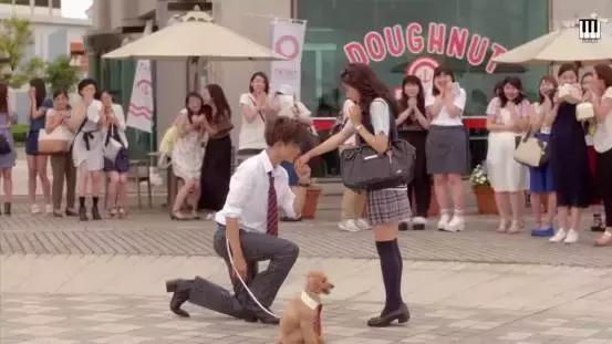 这么羞耻的岛国雷剧，放下智商看吧！