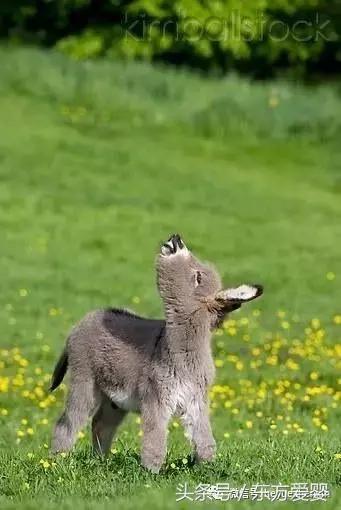 亲子互动手指谣,亲子互动手指谣小板凳