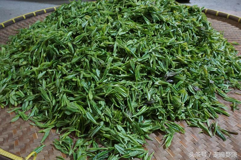 婺源最好的茶是哪一款,婺源茶买哪个牌子