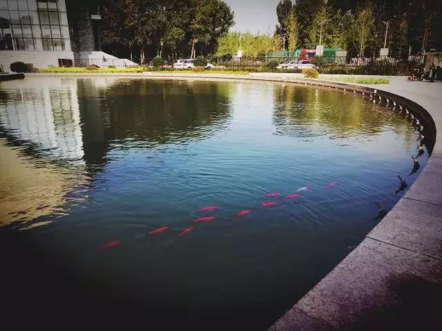 沈阳师范大学回忆,再见青春再见过往