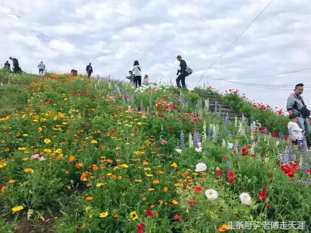 梁平适合夏天耍水凉快的地方,重庆梁平竹海旅游攻略