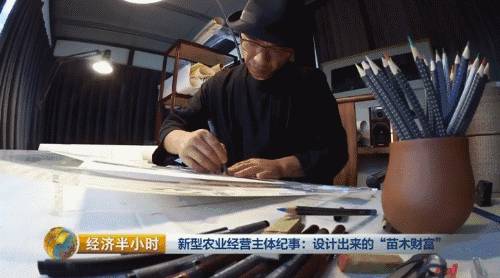 小盆栽生意赚钱吗,小盆栽几万块