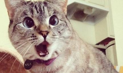 新三板交易费用细则,新三板垫资开户收费标准