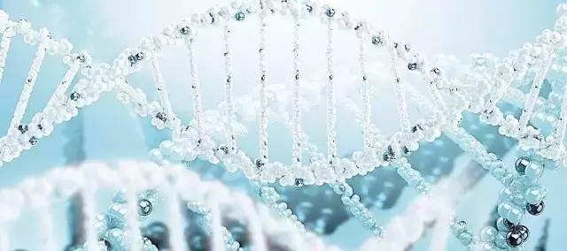 科普癫痫知识关爱癫痫患者,国际癫痫关爱日的主题是什么