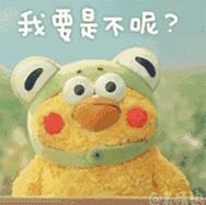 杨幂高圆圆拍摄技巧,杨幂高圆圆陈数