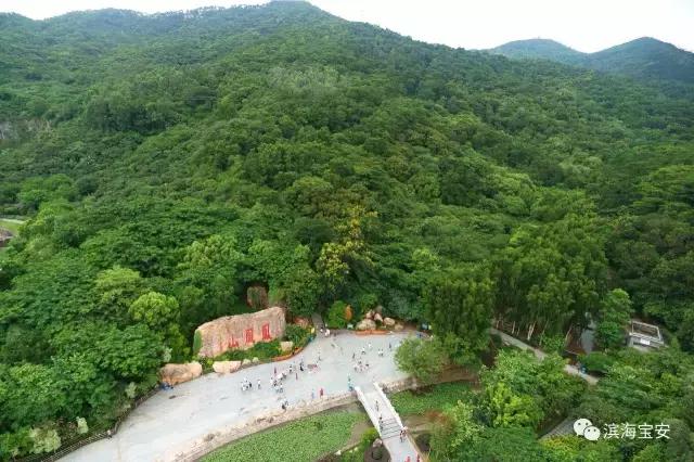 看了广州深圳之后感受,看深圳这几年后的感受