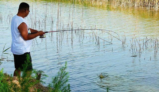 四海钓鱼钓大物视频,四海钓鱼鲫鱼配方