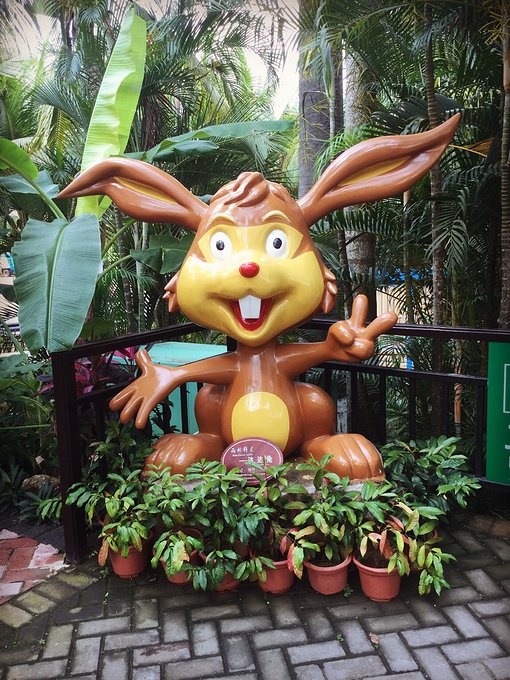 三亚呀诺达半天能玩完么,三亚旅游哪里吃海鲜最便宜