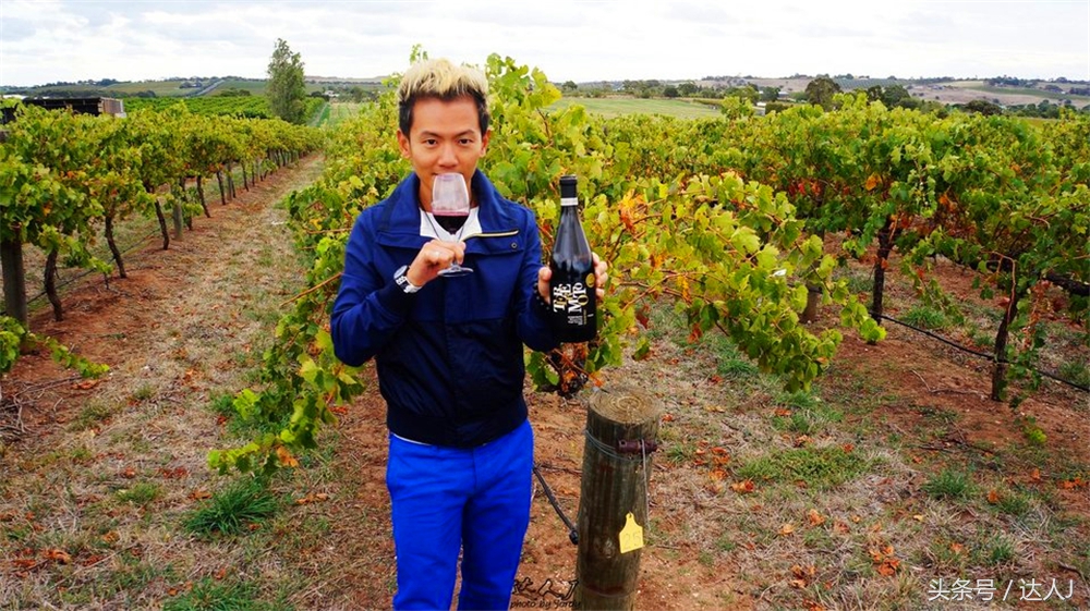 澳洲阿德莱德vs悉尼fc,阿德莱德对澳洲悉尼