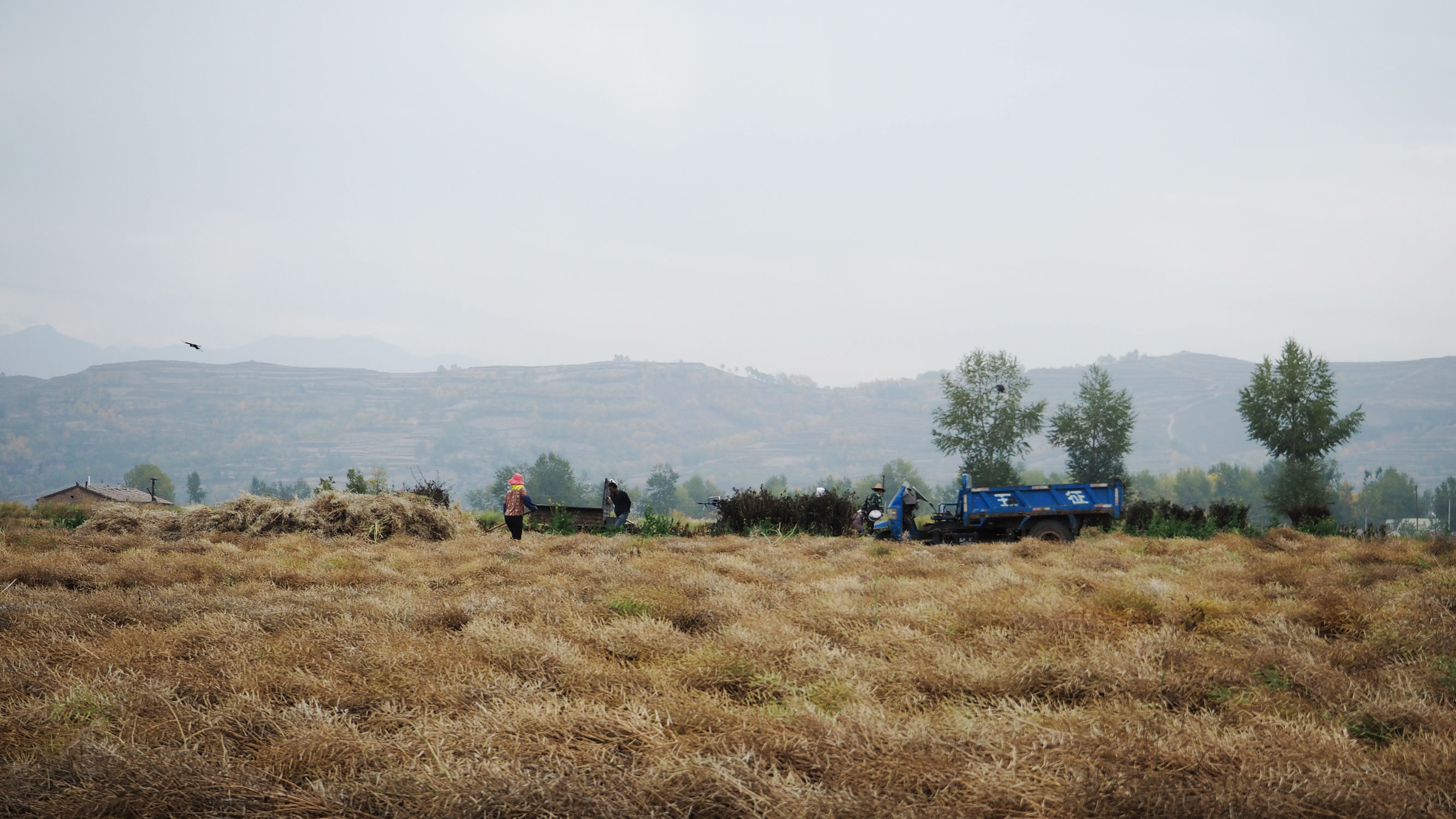 青海游记探秘神秘的青藏高原之旅,青藏高原旅行大全