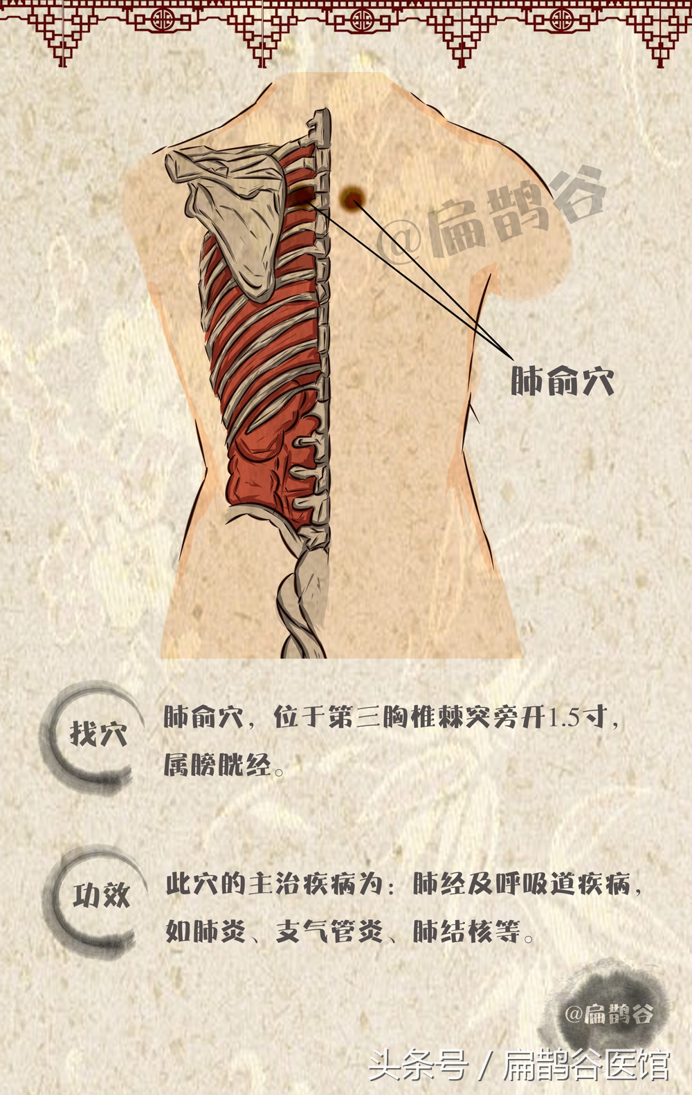 厨房胡椒粉有什么作用,胡椒在做菜的时候起什么作用