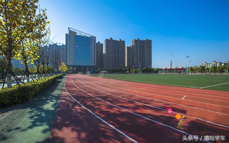 合肥各区较好的中学排名,合肥市较好的中学小学排名