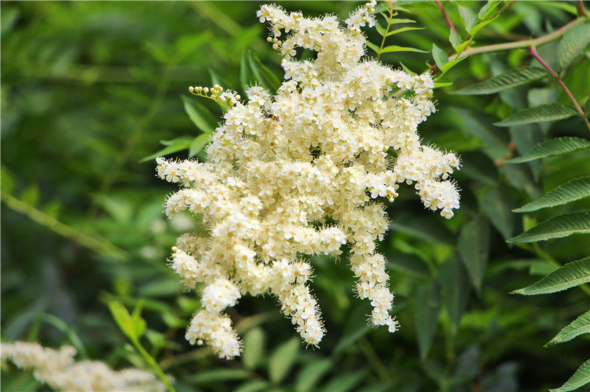 宁夏沙坡头旅游景区,关于宁夏沙坡头景点介绍