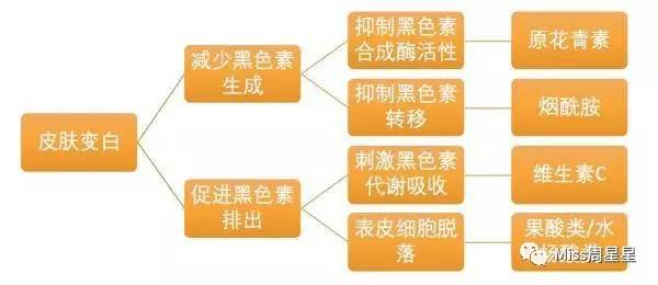 有效美白精华推荐,美白的八种成分