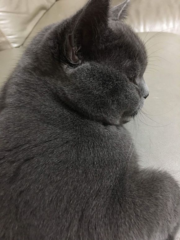 鹿晗和粉丝的一个约定,鹿晗写给粉丝的信